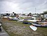 DSC00488.JPG
