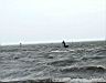 DSC00498.JPG
