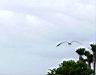 DSC00505.JPG