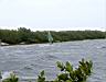 DSC00536.JPG